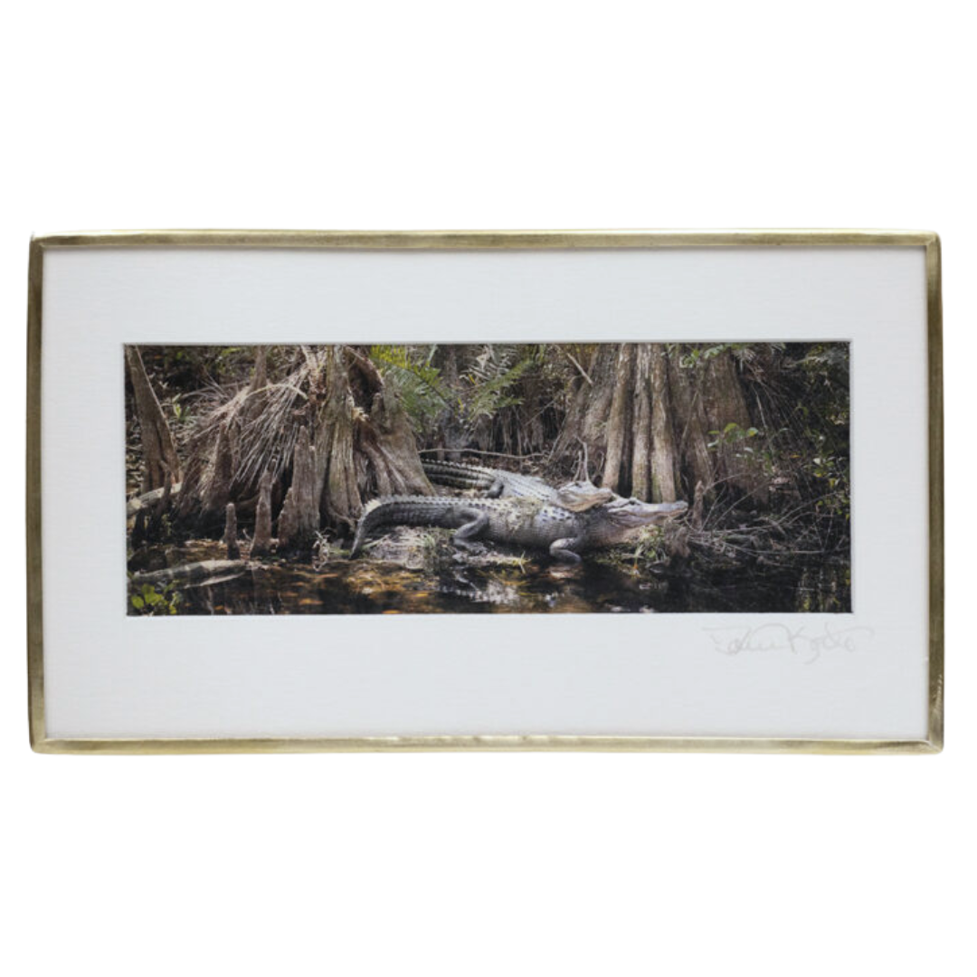 Pair of Gators in the Sun