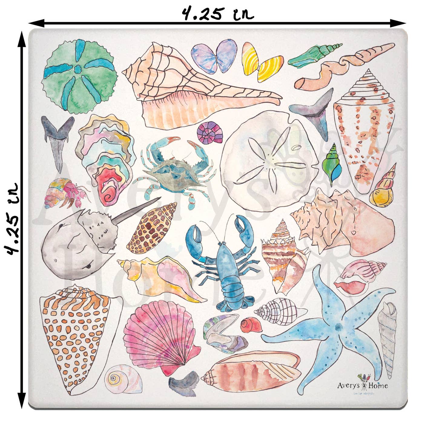 Coaster-Sea Shell Collector