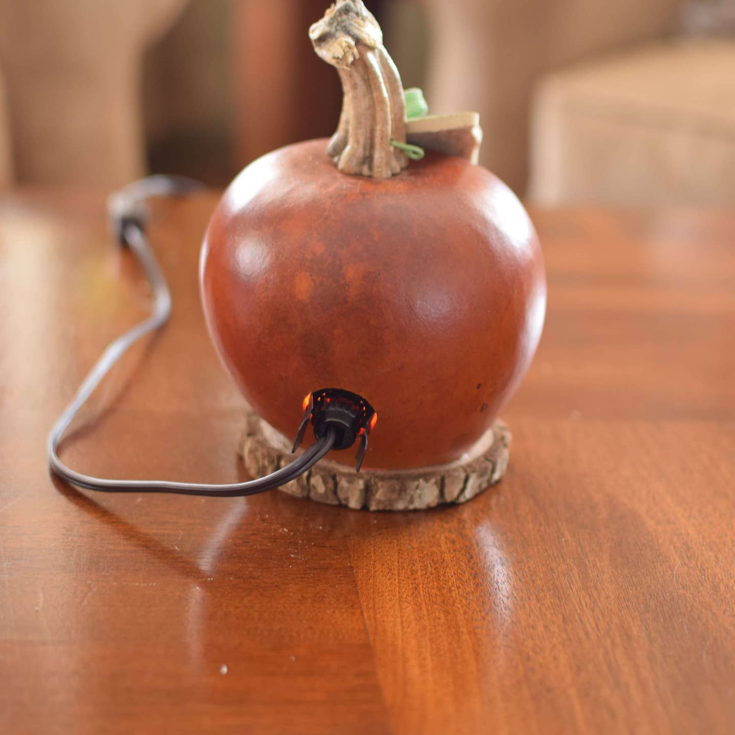Jack-O-Lantern Gourd-Lucas