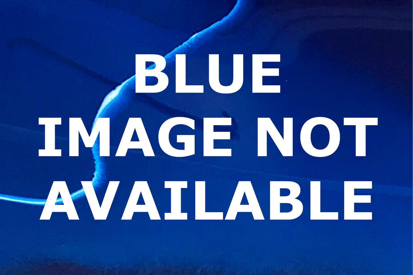 Hogfish Tin Roof Wall Art