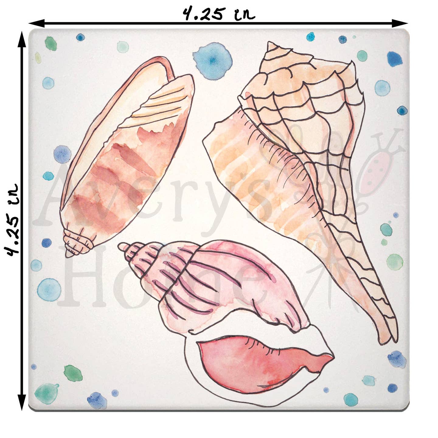 Coaster-Sea Shells