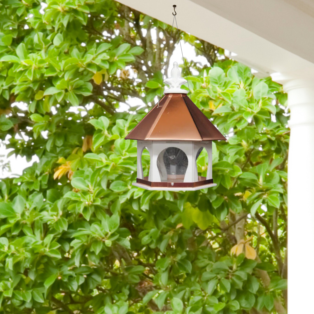 Hanging Bird Feeder-Small