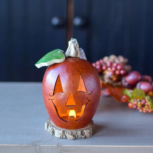 Jack-O-Lantern Gourd-Lucas Mini