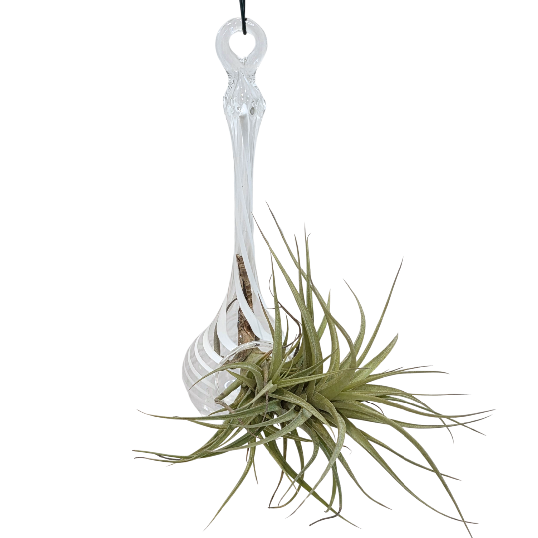 Space Vase-Hanging Vase