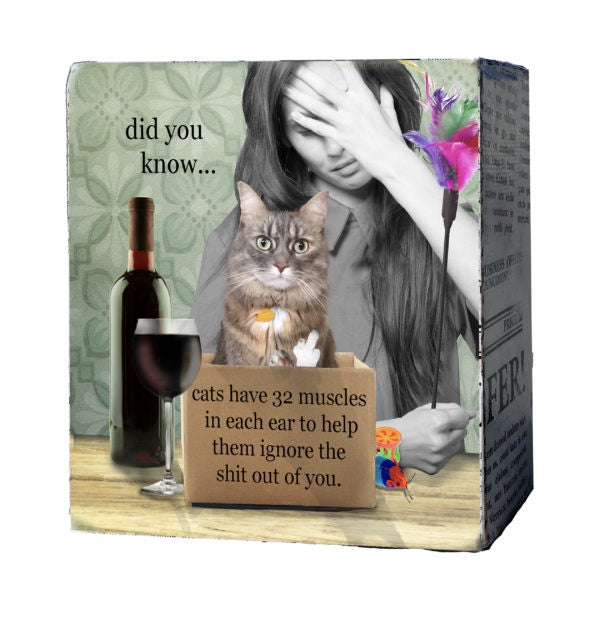 Mini Canvas-Cat Ignore You