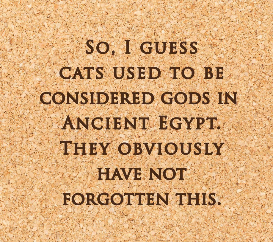 Egyptian Cats Coaster