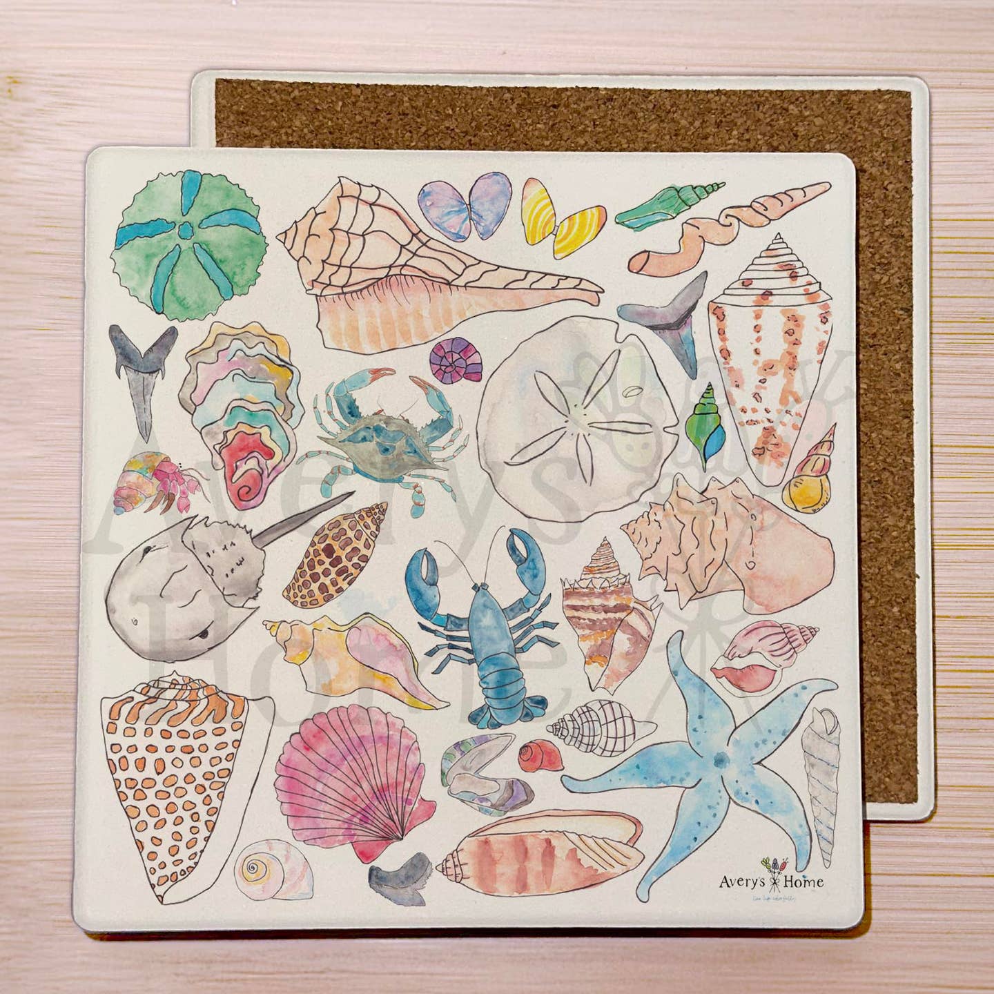 Coaster-Sea Shell Collector