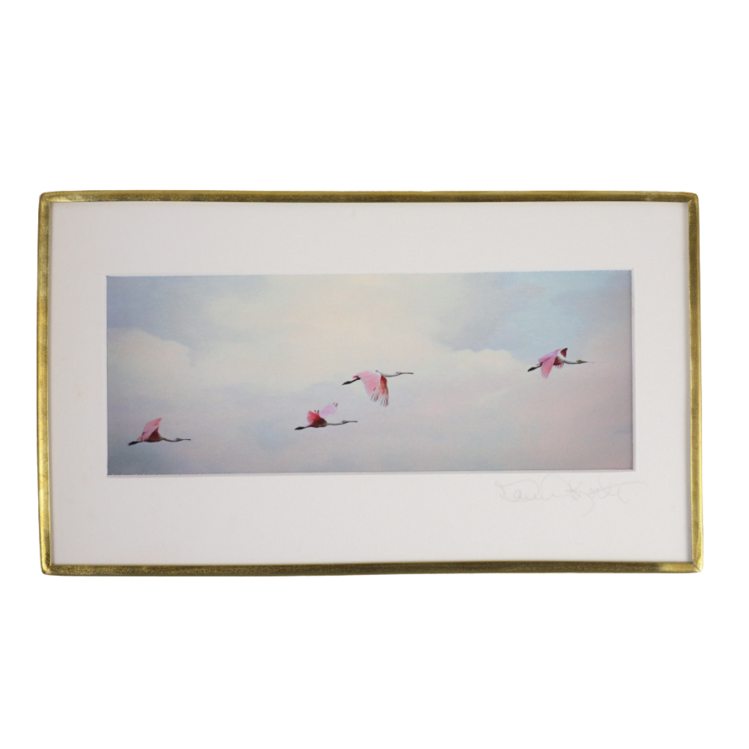Four Spoonbills - Photo