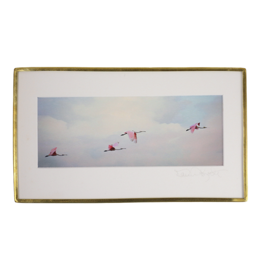 Four Spoonbills - Photo