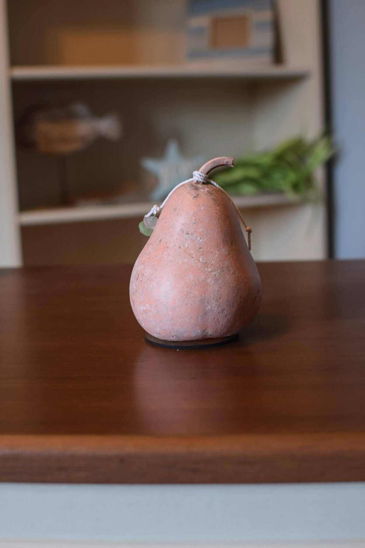 Coastal Gourd-Seahorse