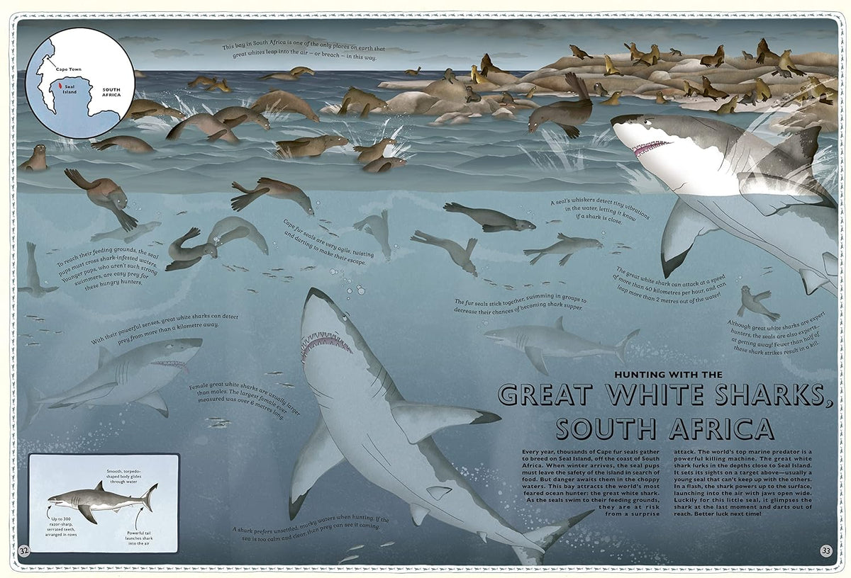 Atlas of Ocean Adventures