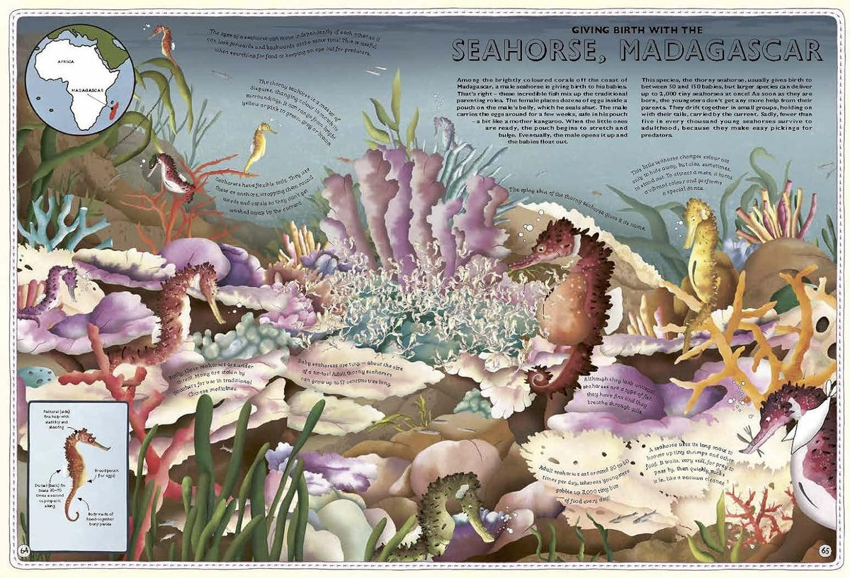 Atlas of Ocean Adventures