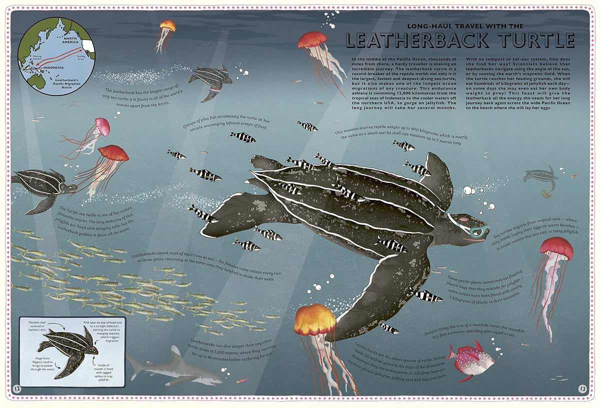 Atlas of Ocean Adventures