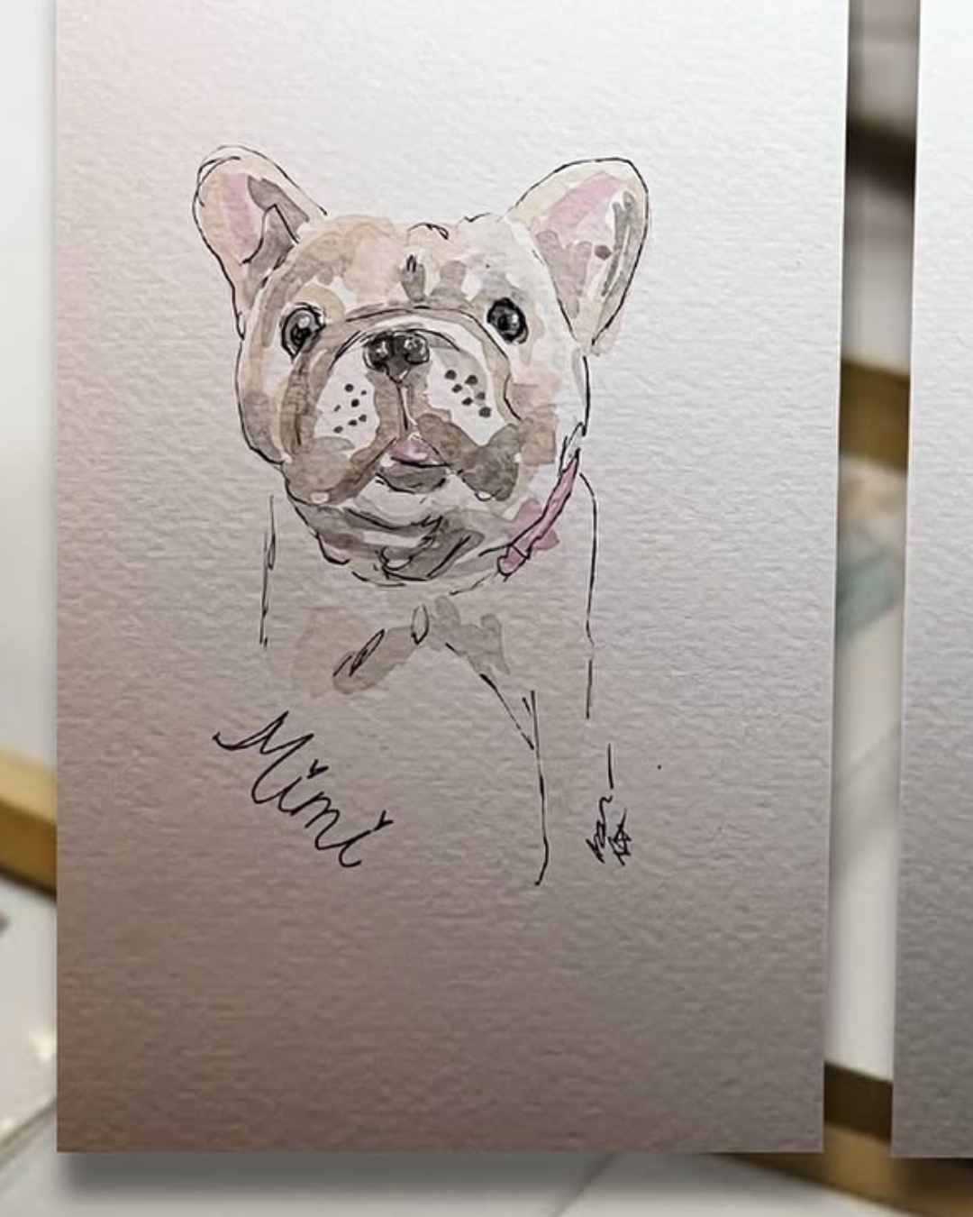 Pet Portraits benefiting PBHSN