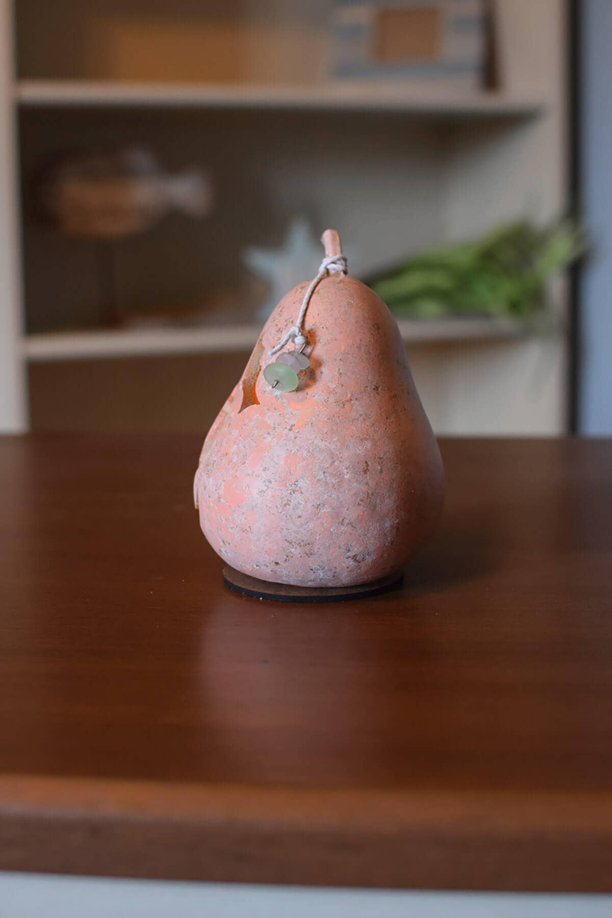 Coastal Gourd-Seahorse