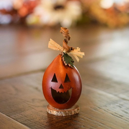 Jack-O-Lantern Gourd-Lil' Cullen