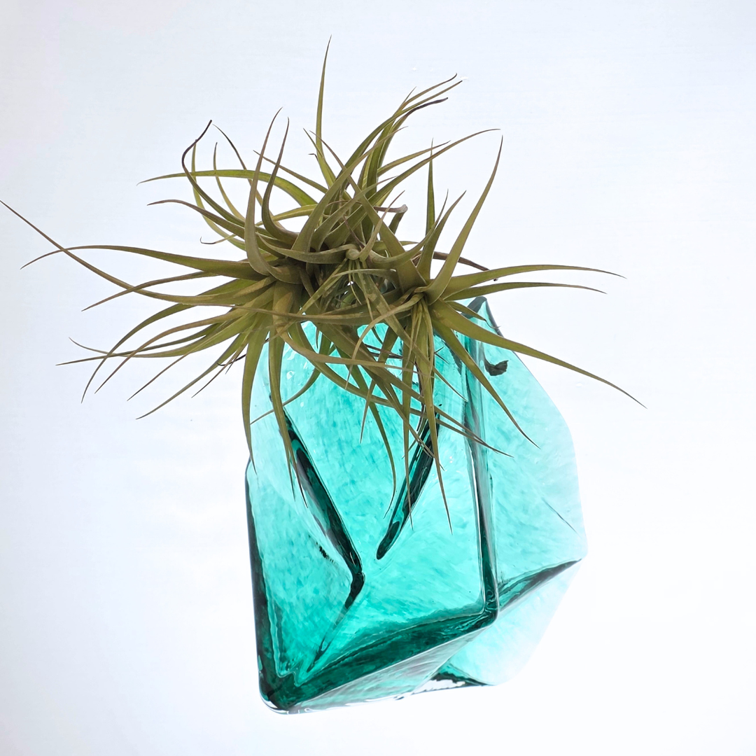 Prism Wall Vase