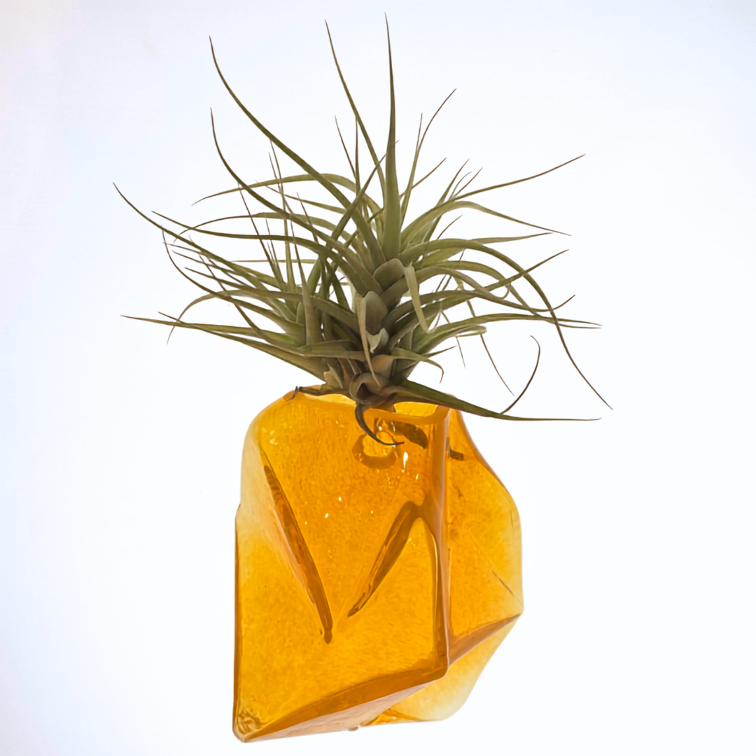 Prism Wall Vase