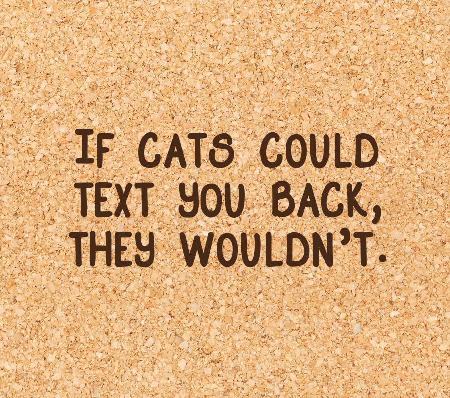 Texting Cats Coaster