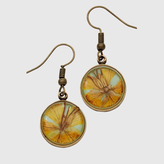 Wild Butterfly Pansy Earrings-Round