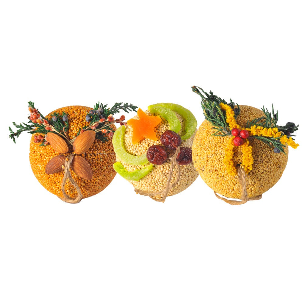 Birdseed & Fruit Ornaments