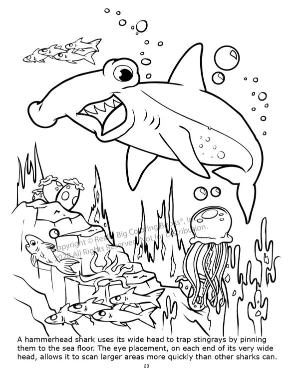 Coloring Book-Underwater Adventure
