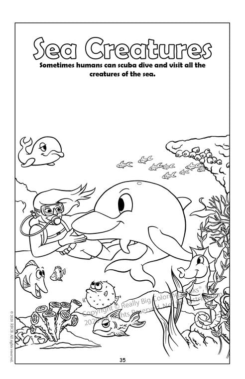Coloring Book-Sea Creatures
